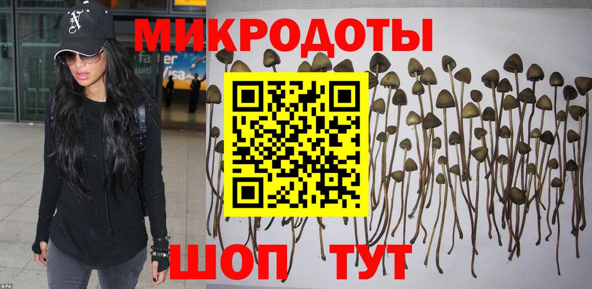 Псилоцибиновые грибы Magic Shrooms  Вход с VPN  Шали  Галлюциногенные грибы GOLDEN TEACHER 