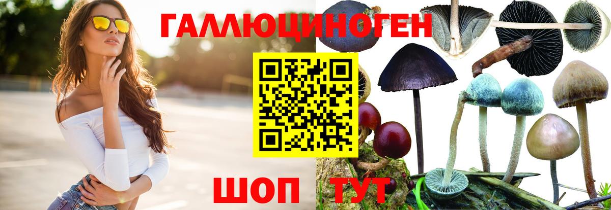 Галлюциногенные грибы Psilocybe Шали
